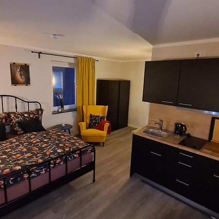 City-Apartment Nr 9 Zarrentin am Schaalsee Bagian luar foto